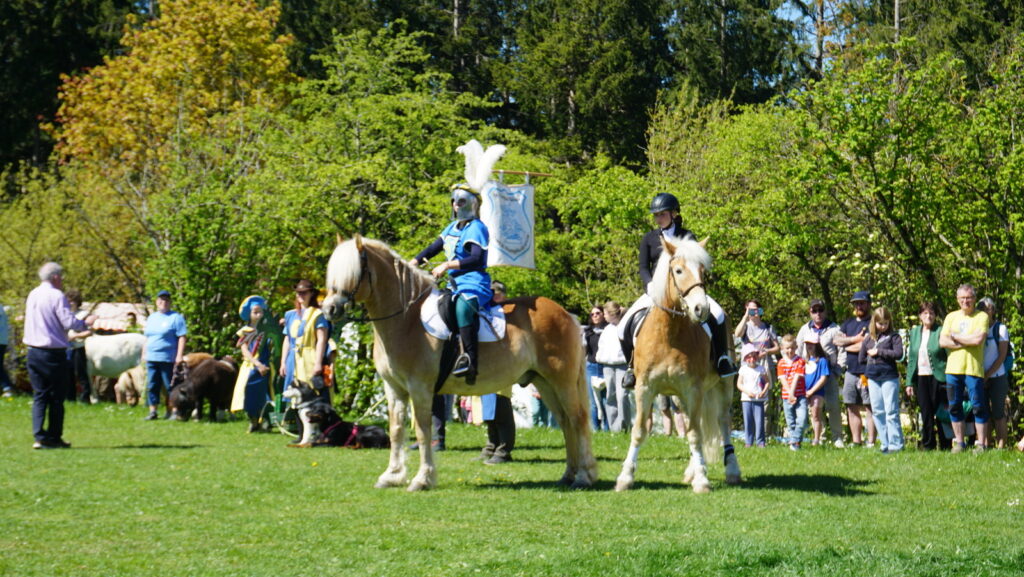 DSC04791